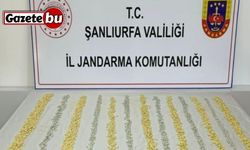 MİT tespit etti, jandarma operasyon düzenledi