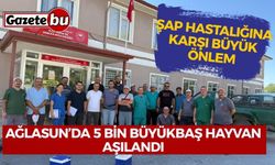 Ağlasun’da 5 Bin Büyükbaş Hayvan Şap Hastalığına Karşı Aşılandı
