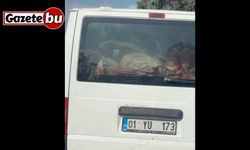 Adana’da etler hijyen kurallarına aykırı taşındı