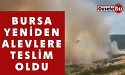 Bursa’da orman yangınına havadan ve karadan müdahale