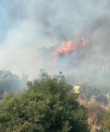Aksu'da ağaçlık alanda yangın