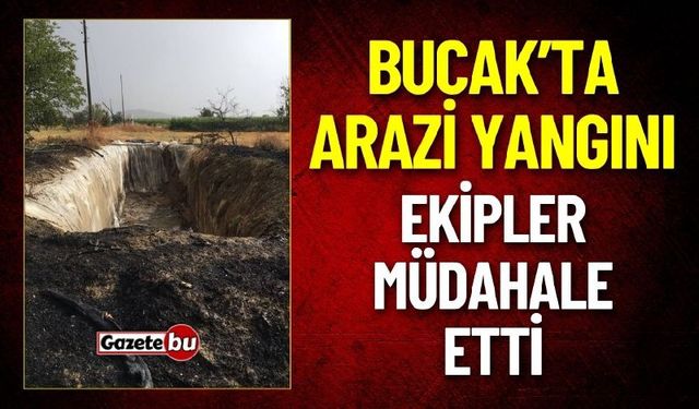 Bucak'ta Arazi Yangını: Ekipler Müdahale Etti