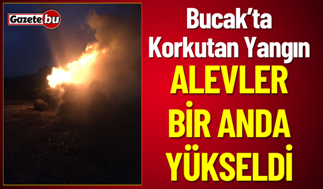 Bucak'ta Korkutan Yangın Alevler Bir Anda Yükseldi