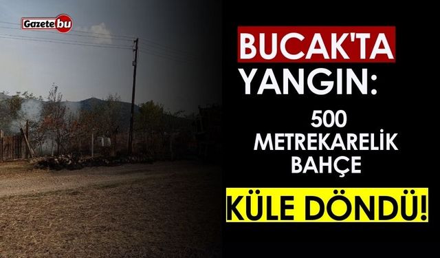 Bucak'ta Yangın: Bahçe ve Ağaçlar  Zarar Gördü