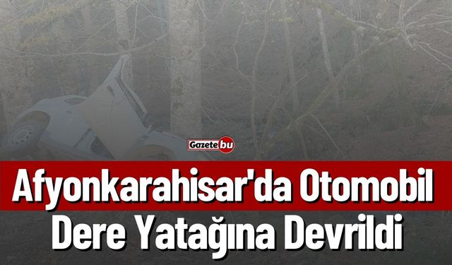 Afyonkarahisar'da Otomobil Dere Yatağına Devrildi