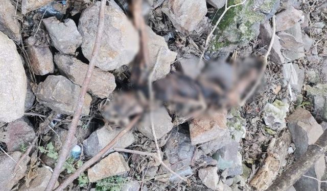 İzmir'de aylardır aranan katil kocanın kemikleri bulundu