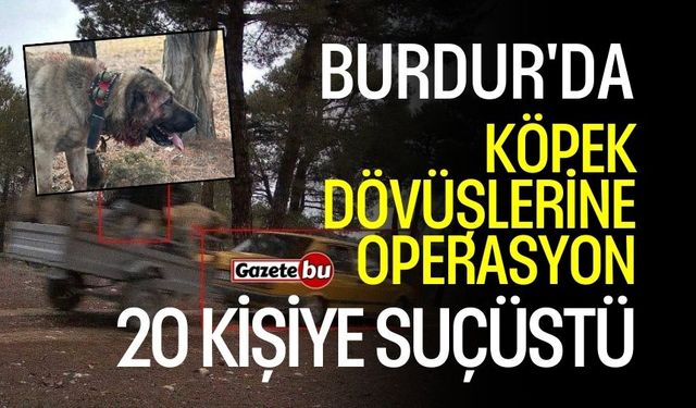 Burdur'da köpek dövüşlerine son: 20 kişiye suçüstü