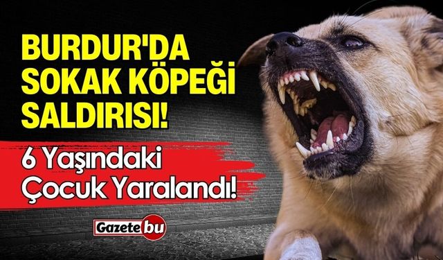 Burdur'da Sokak Köpeği Saldırısı! 6 Yaşındaki Çocuk Yaralandı!