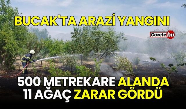 Bucak'ta Arazi Yangını: 500 Metrekare Alanda 11 Ağaç Zarar Gördü