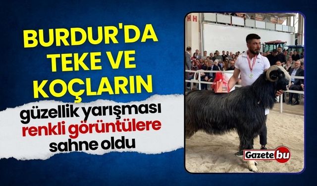 Burdur'da teke ve koçların güzellik yarışması renkli görüntülere sahne oldu