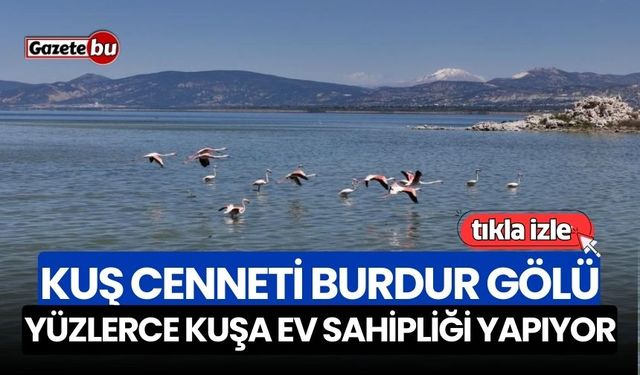 Kuş cenneti Burdur Gölü yüzlerce kuşa ev sahipliği yapıyor