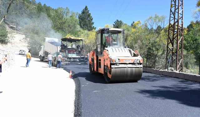 Milas-Gölcük Tabiat Parkı arasında bulunan yol asfaltlandı