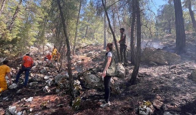 Burdur’da yıldırım düşmesiyle çıkan orman yangını ekiplerin hızlı müdahalesi ile söndürüldü