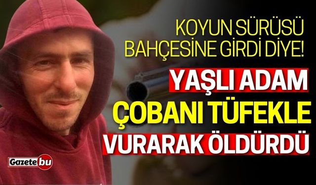 Yaşlı adam çobanı tüfekle vurarak öldürdü