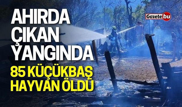 Ahırda çıkan yangında 85 küçükbaş hayvan öldü