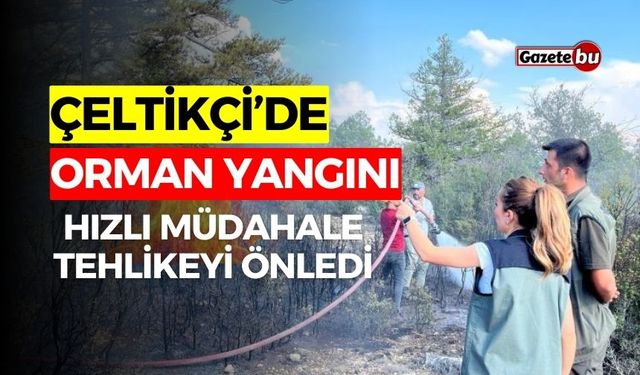 Çeltikçi'de Orman Yangını: Hızlı Müdahale Tehlikeyi Önledi