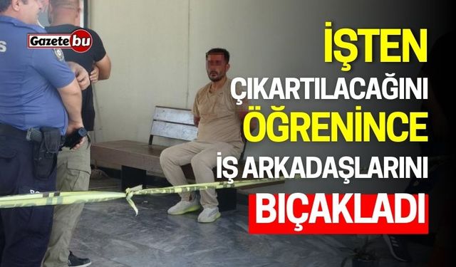 İşten çıkartılacağını öğrenince iş arkadaşlarını bıçakladı