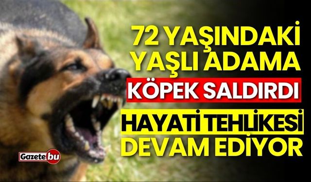 72 yaşındaki adam köpek saldırısına uğradı