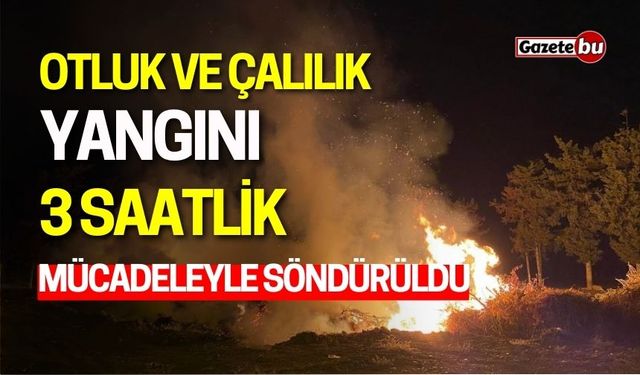 Otluk ve Çalılık Yangını: 3 Saatlik Mücadele ile Söndürüldü