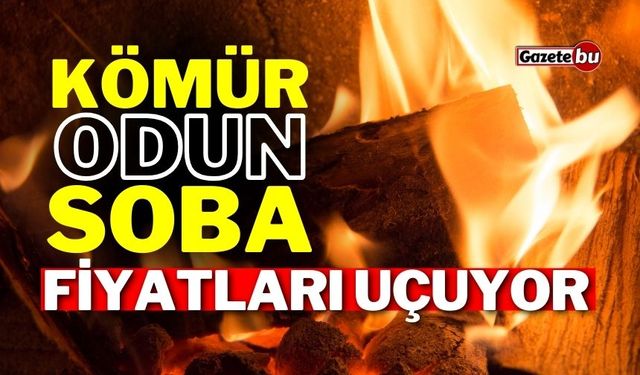 Kömür, odun ve soba fiyatları yükselişe geçti