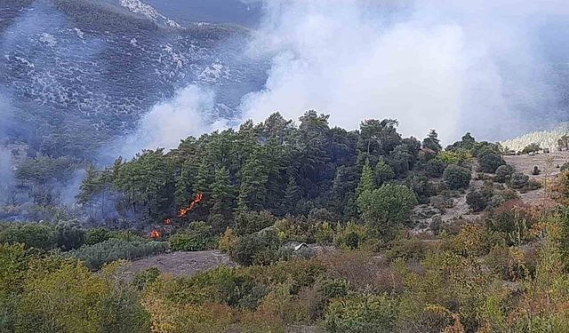 Kumluca’da Orman Yangını, Evi Kullanılamaz Hale Getirdi