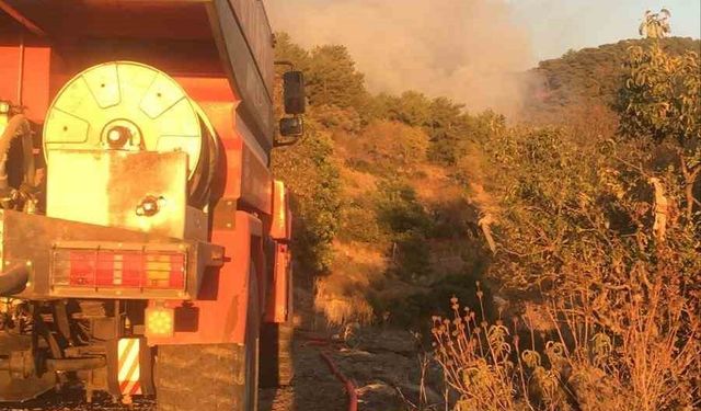 Gazipaşa'da Ormanlık Alanda Yangın Kontrol Altına Alındı