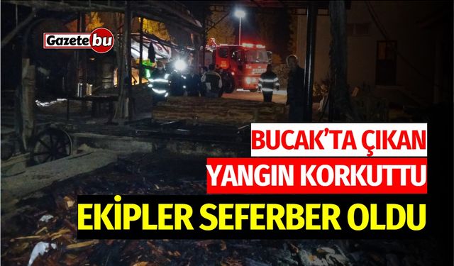 Bucak’ta çıkan yangın korkuttu, Ekipler seferber oldu