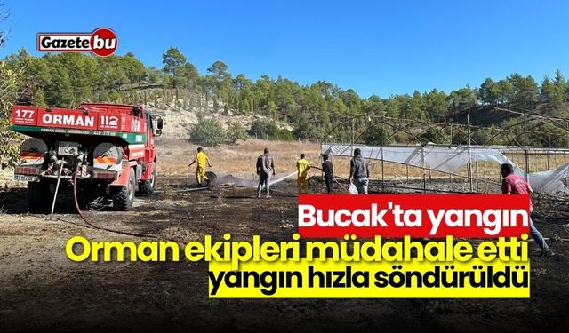 Bucak'ta yangın: Orman ekipleri müdahale etti