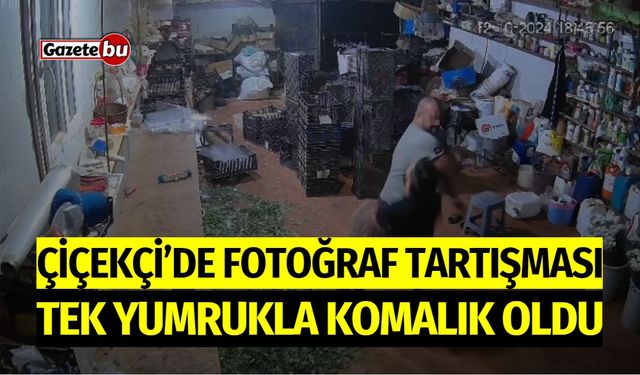 Çiçekçi'de Fotoğraf Tartışması: Tek Yumrukla Komalık Oldu