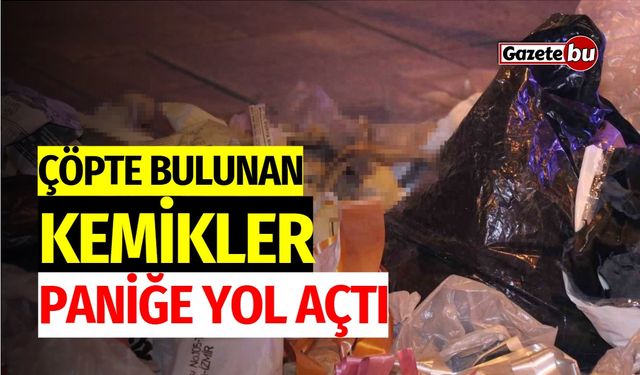 Çöpte Bulunan Kemikler Paniğe Yol Açtı