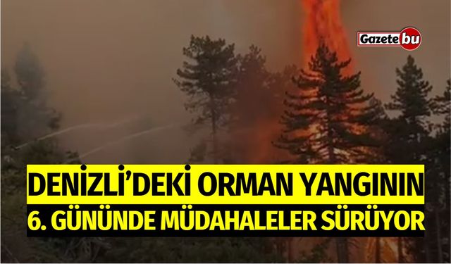 Denizli’deki Orman Yangının 6. Gününde Müdahaleler Sürüyor