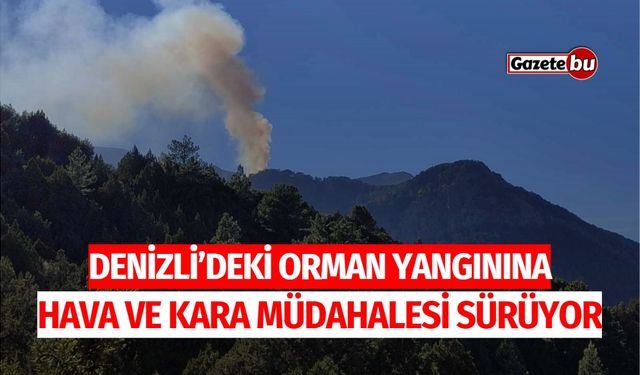 Denizli'deki Orman Yangınına Hava ve Kara Müdahalesi Sürüyor