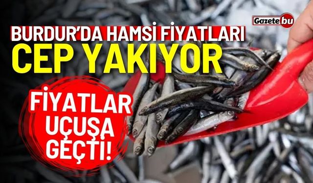 Hamsi fiyatları cep yakıyor! Fiyatlar uçuşa geçti