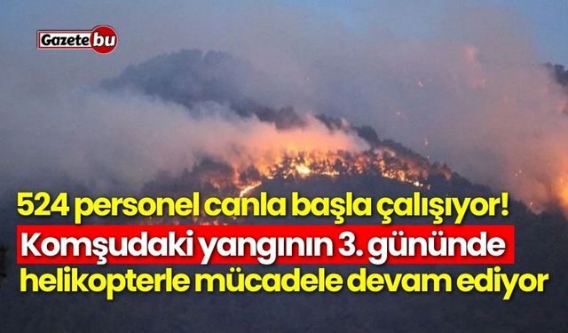 Komşudaki yangının 3. gününde helikopterle mücadele devam ediyor