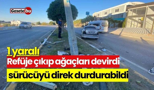 Refüje çıkıp ağaçları devirdi, sürücüyü direk durdurabildi