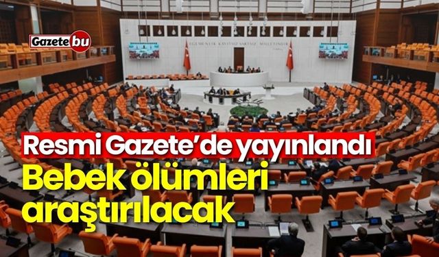 Resmi Gazete’de yayınlandı: Bebek ölümleri araştırılacak