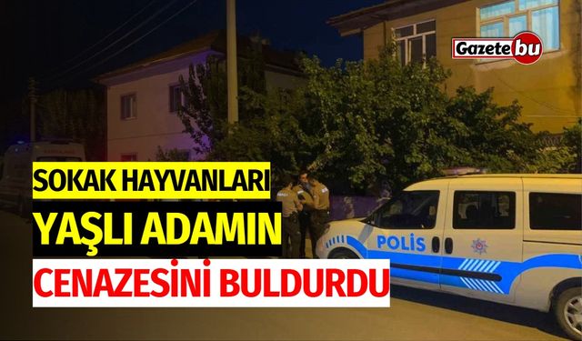 Sokak hayvanları, yaşlı adamın cenazesini buldurdu