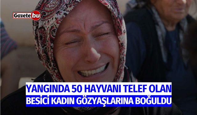 Yangında 50 Hayvanı Telef Olan Besici Kadın Gözyaşlarına Boğuldu