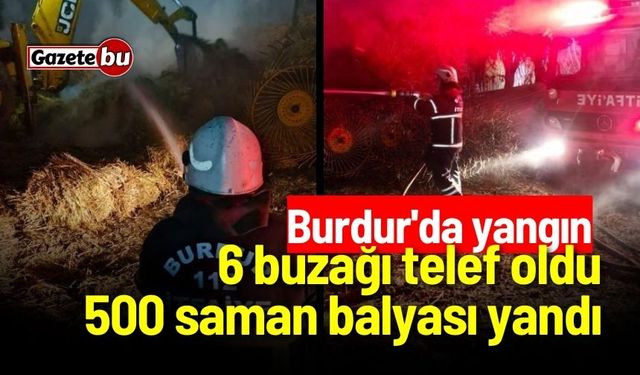 Burdur'da yangın: 6 buzağı telef oldu, 500 saman balyası yandı