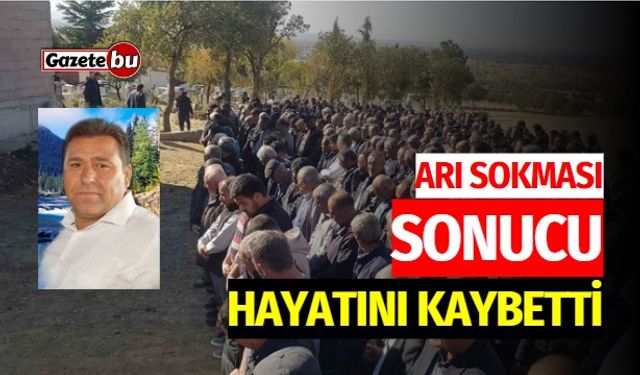 Arı Sokması Sonucu Hayatını Kaybetti