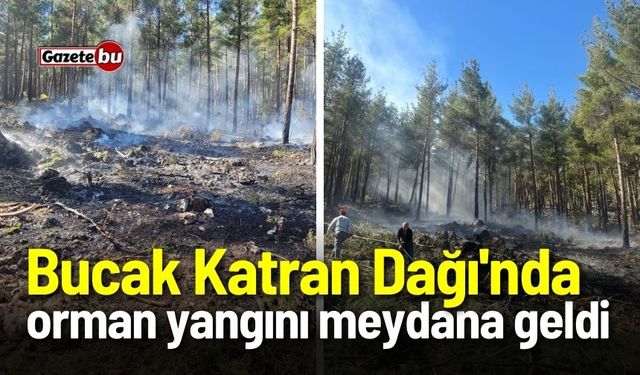 Bucak Katran Dağı'nda orman yangını meydana geldi