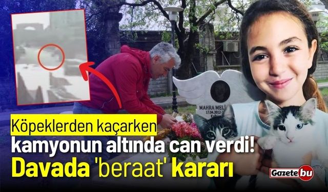 Köpeklerden kaçarken kamyonun altında can verdi! Davada 'beraat' kararı