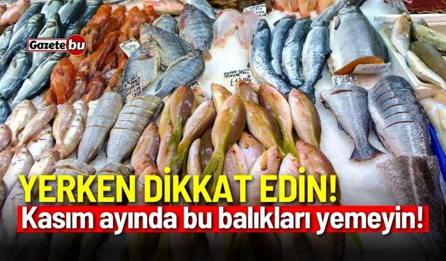 Yerken dikkat edin! Kasım ayında bu balıkları yemeyin...