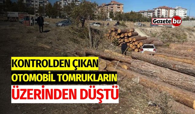 Kontrolden Çıkan Otomobil Tomrukların Üzerinden Düştü