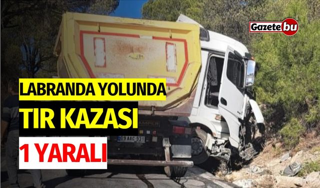 Labranda yolunda tır kazası: 1 yaralı