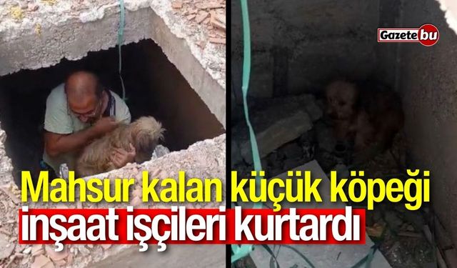 Mahsur kalan küçük köpeği inşaat işçileri kurtardı