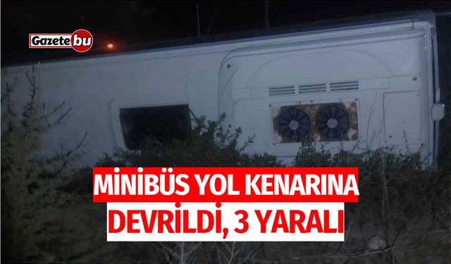 Minibüs Yol Kenarına Devrildi: 3 Yaralı