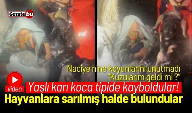 Yaşlı karı koca tipide kayboldular! Hayvanlara sarılmış halde bulundular