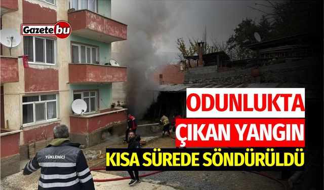 Odunlukta Çıkan Yangın Kısa Sürede Söndürüldü