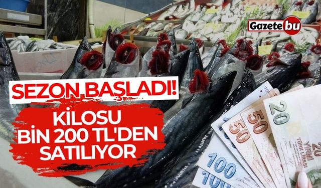 Sezon başladı! Kilosu bin 200 TL'den satılıyor